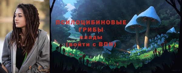 бутират Белокуриха